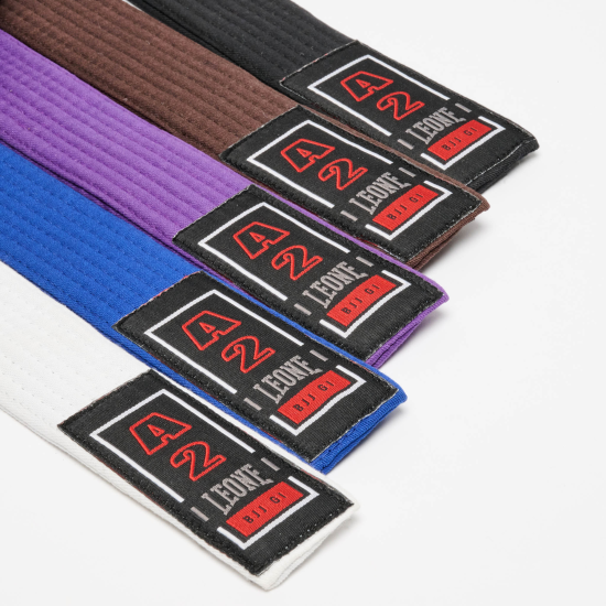 Cinturon de Brazilian Jiu Jitsu BJJ Leone 1947 azul