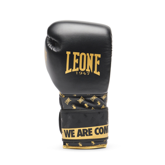 Guantes de Boxeo Leone 1947 "DNA" GN220