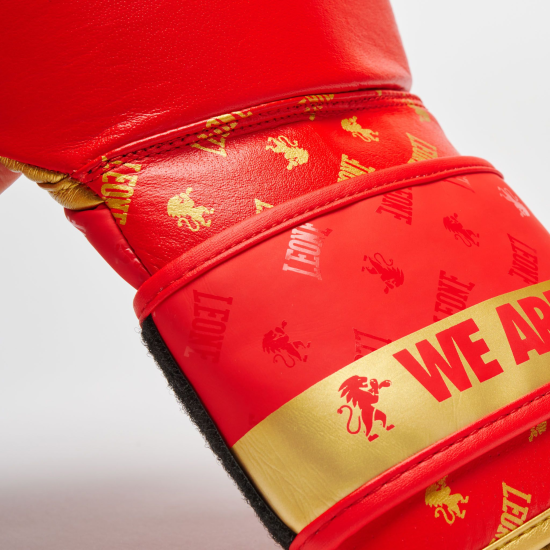 Guantes de Boxeo Leone 1947 "DNA" GN220 rojo