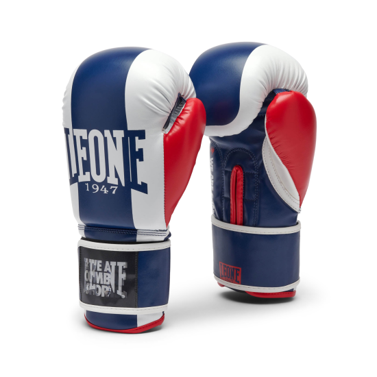 Guantes de boxeo Leone "Color Block" GN334 azul