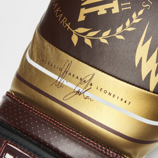 Guantes de Boxeo Leone "Legionarivs" by Alessio Sakara GN202 10 OZ Burdeos