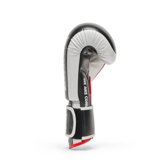 Guantes de boxeo Leone logo wacs 10 Oz