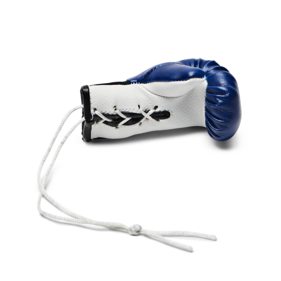 Guantes de Boxeo para Retrovisor Leone 1947 Color Azul AC911