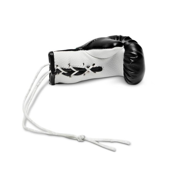 Guantes de Boxeo para Retrovisor Leone 1947 Color Negro AC911