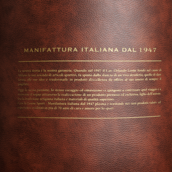 Saco Leone Sport Vintage 40 Kg